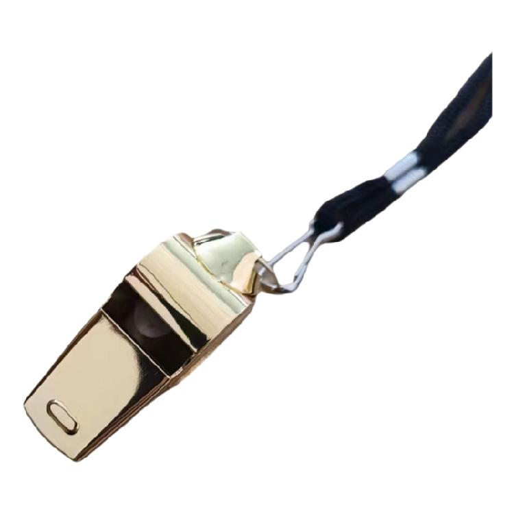 Stainless Steels Whistle, Sports Whistle with Lanyard, Loud Crisps Sound Whistle, Referee Whistle for Outdoor Activity