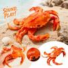 Realistic Crab and Soft Rubber Stress Toy with Sound