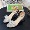 Crystal Sandals with Low Heels Women Sandals 2024 Summer Shoes Women Open Toe Crystal Chunky Sandals Heels Women Gold Sliver