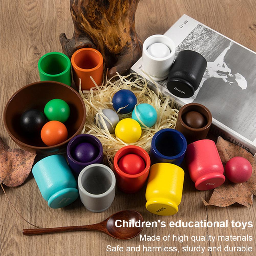 Rainbow Balls in Cups Preschool Learning Toys with Cups/Balls/Bowl/Spoon Wooden Color Sorting Toy for Kids 3 Years Old and Up