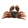 5Pcs Lot PVC Soft Lifelike Fishing Lures Crab Artificial Bait Tackle Accessories (Brown)