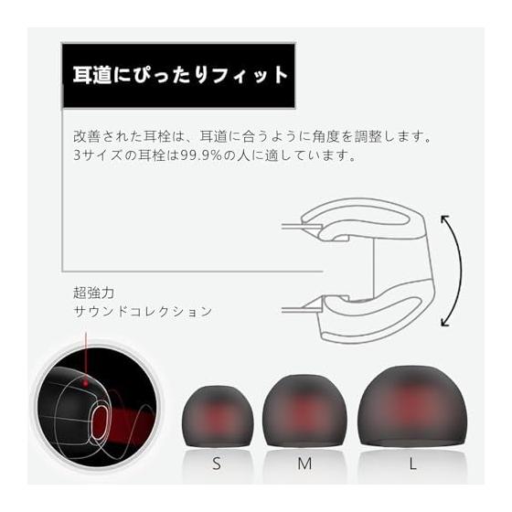 Kasott Soundmaster Pro V1 Gaming Earphones with Microphone [Microphone Mute Function] Bass Emphasis Earphones Headphones Canal Type Nintendo Switch