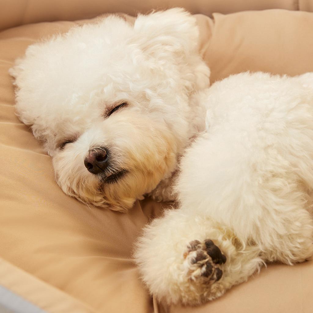 Dog Bed For Small Medium Dogs And Cats, Washable Deluxe, Non-Slip Bottom, High And Low Sides, With Four-Season Universal Detachable Mat No Sticky Hair