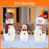 Snowman Inserted 2d Led Lights For Christmas Decor For Courtyard Parties Terrace