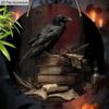 2D Flat Aluminium Retro Halloween Sign with Black Crow Pattern - Halloween Figurine Ornaments - Ideal for Front Door, Wall, Porch, Window Decor