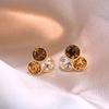 Brown crystal earrings new popular unique stud earrings niche light luxury high-end design autumn and winter earrings women