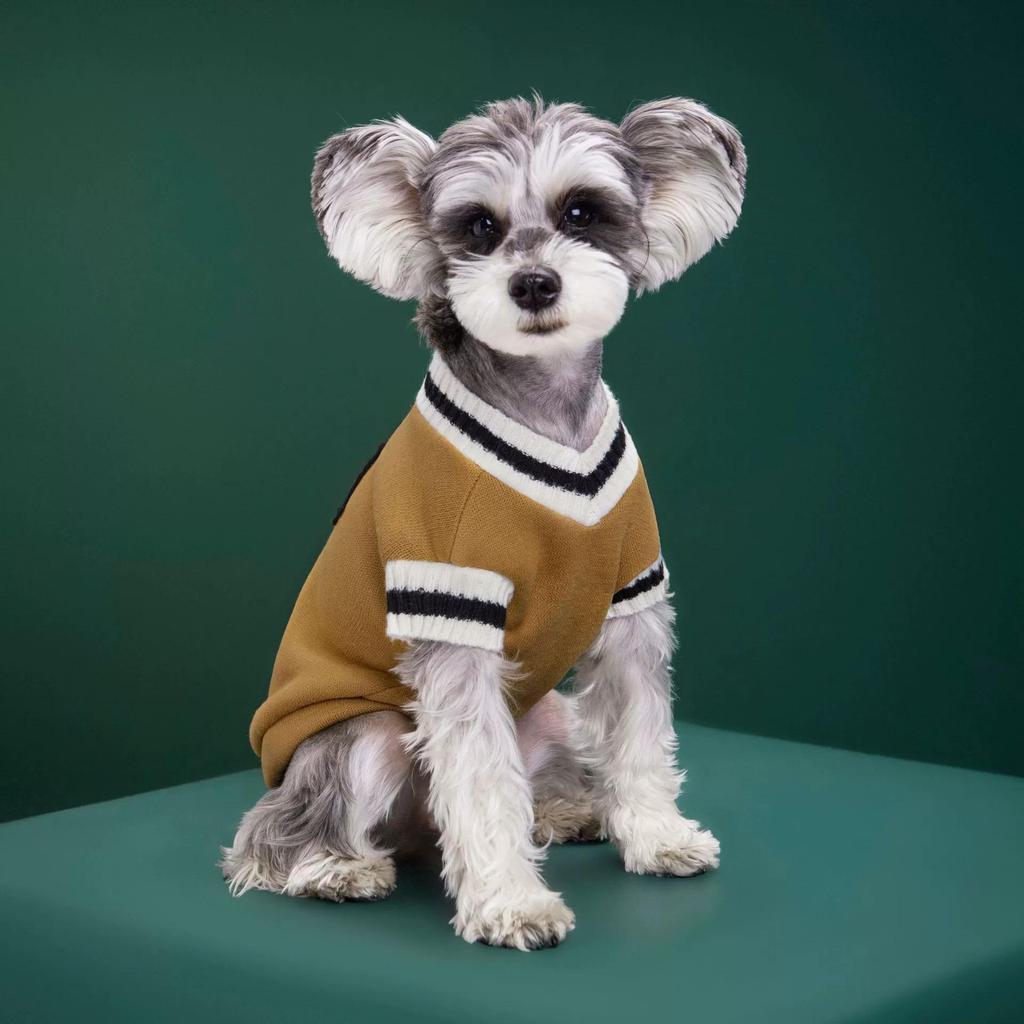 New Knitted V-Neck College Style Vest for Dogs - Autumn/Winter Fashion for Teddy & Pomeranian