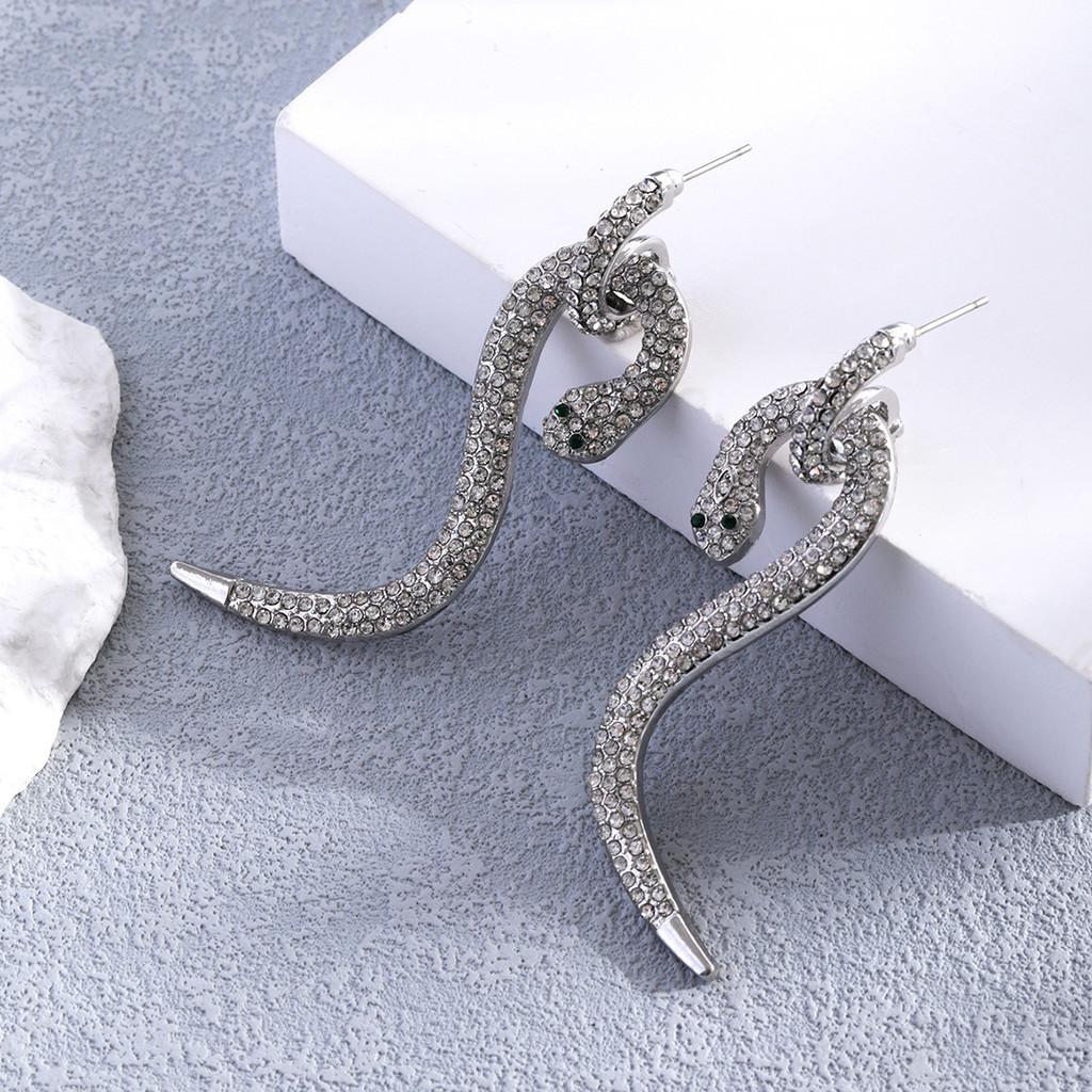 Exquisite Alloy Geometric Snake Earrings Fashionable Silver Plated Ear Studs For Women