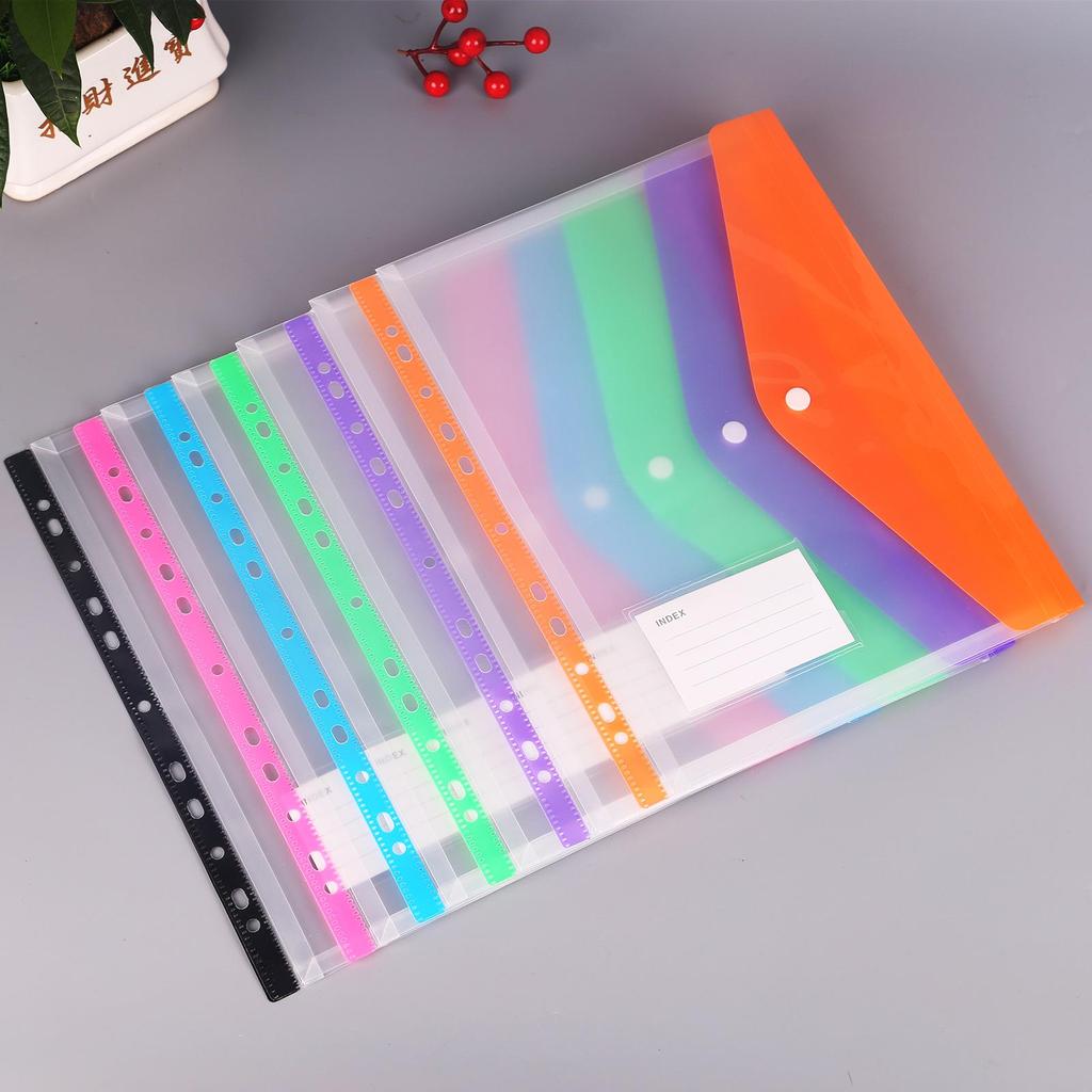 Clear A4 O-Ring Binder with Transparent Add-in Page Sleeves