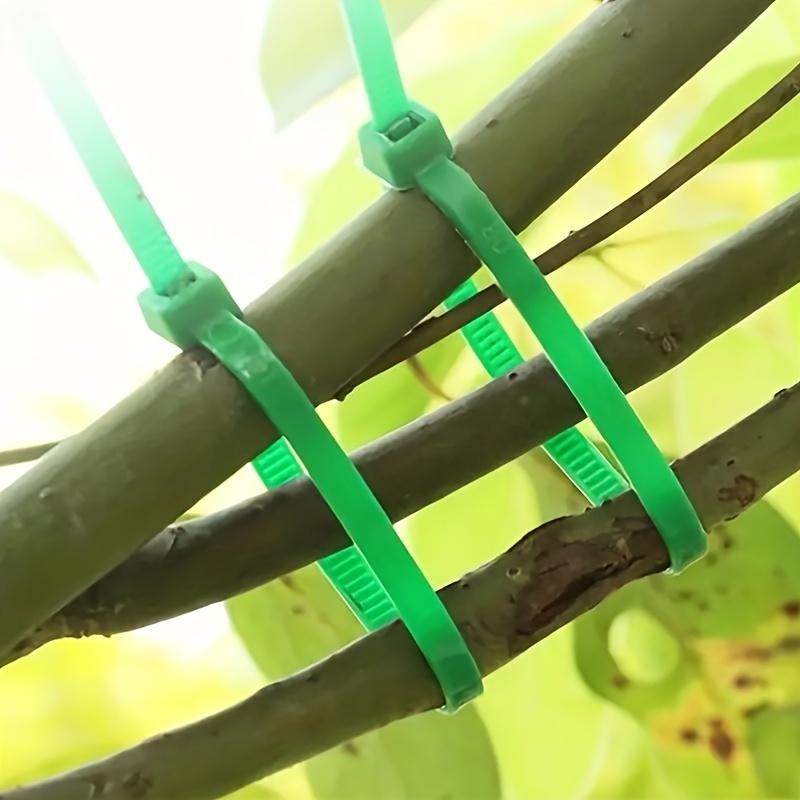 500pcs/100pcs Heavy Duty Nylon Cable Ties, Self-Locking Cord Ties for Indoor and Outdoor Use Fixed Ties for Horticultural Plants