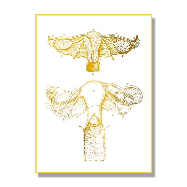 Human Organ Bone Tissue Structure Poster Golden Nordic Retro Style Canvas Painting Living Room Wall Art Prints Modern Home Decor No Frame