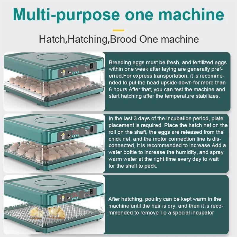 9/15 Mini Egg Hatching Tool Drawer Type Fully Automatic Intelligent Waterbed Replenishment & Temperature Control Eggs Incubator New