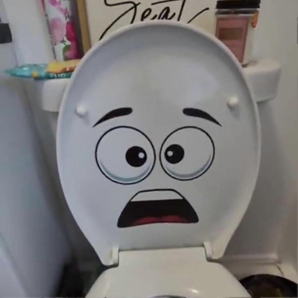 toilet stickers funny bathroom decal surprised face