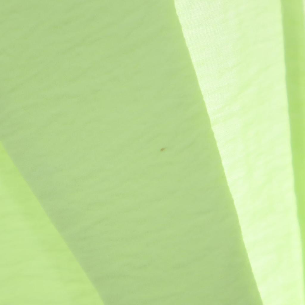 CLANE Long Sleeve Tailored Jacket 1 Green Women Used