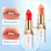 2 Color Temperature Change Hydrating Lipstick Glossy Texture Delicate Lasting Not Easy To Decolorize
