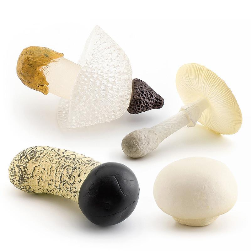 Realistisches Pilzset mit essbaren Shiitake-, Enoki-, Matsutake-Pilzen, giftigen Schirmpilzen, dekorativen Modellen, ideal für die Heimpräsentation