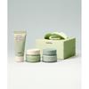 Whipped Mug Tree Pore Soothing Best Kit