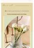 Trendy Transparent Glass Hydroponic Flower Vase for Fresh Roses - Elegant Living Room/Dining Table Decor