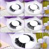 Magnetic Eyelashes No Glue 5 Pairs Set Natural Look False Daily Wear