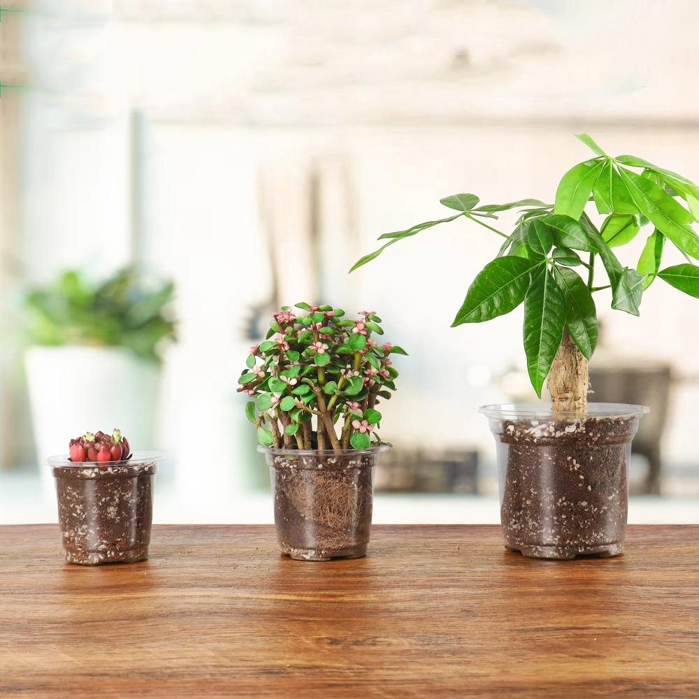 10pcs Thickened Plastic Planter Transparent Flower Plant Container Clear Nursery Pots Home Decor