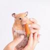 Küçük Evcil Hayvan Diş Kaşıma Malzemeleri Hamster Ödülleri Tavşan Çiğneme Oyuncakları Küçük Hayvan Çiğneme Havuçları Tamamen Doğal Besleyici Diş Kaşıma Oyuncakları Tavşan/Hamster/Kobay Fareleri İçin