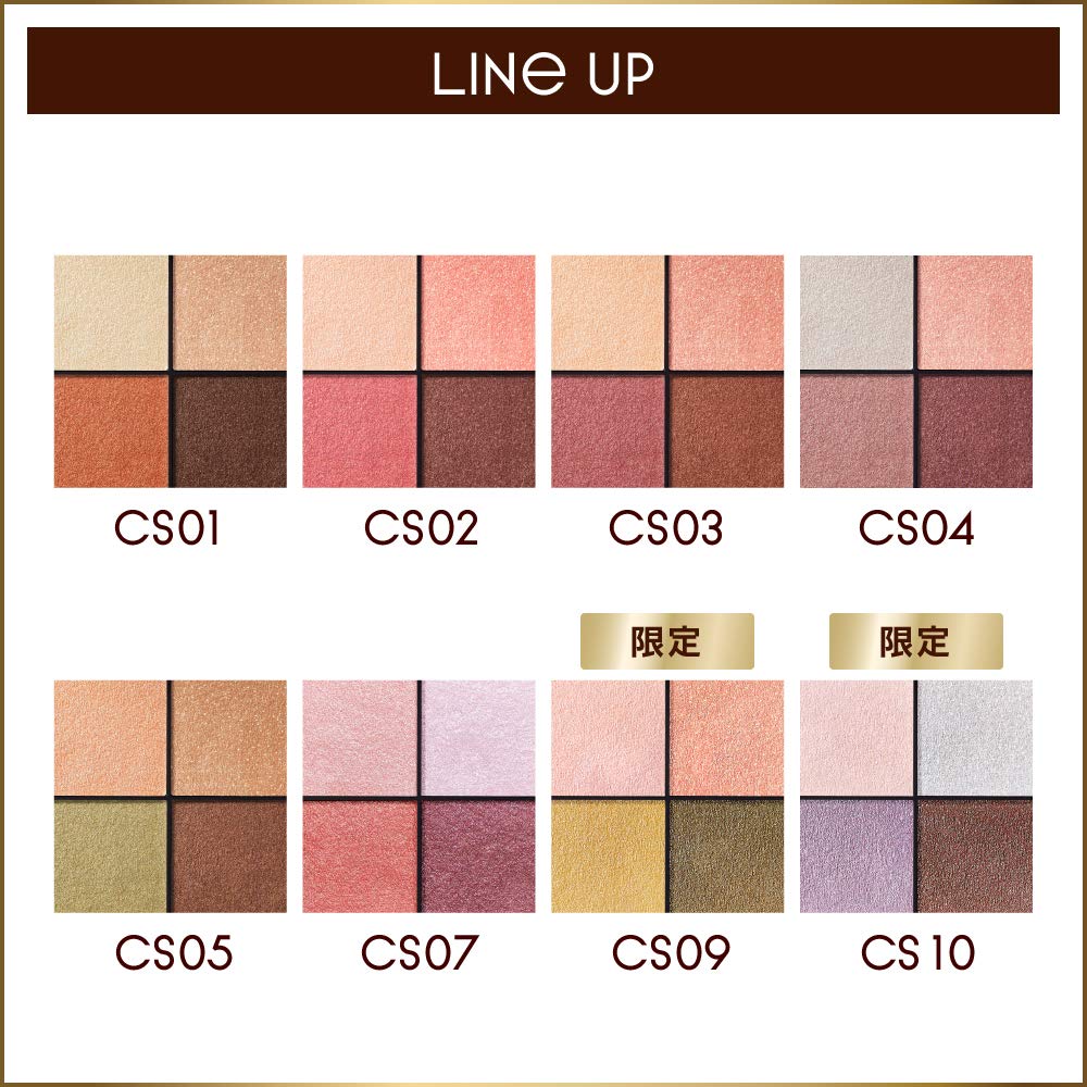 Excel Real Close Shadow CS10 (Aurora Pleated) Palette Eyeshadow, 4 Colors, 3 Textures (Gloss, Glitter, Matte)