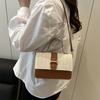 Simple Casual Small Square Bag Women's New 2025 Spring New Niche Beautiful Messenger Bag Personalized Trend Shoulder Bag