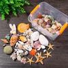 Beach Seashells Decoration Starfish Sea Snail Coral Ornament for Wedding Party