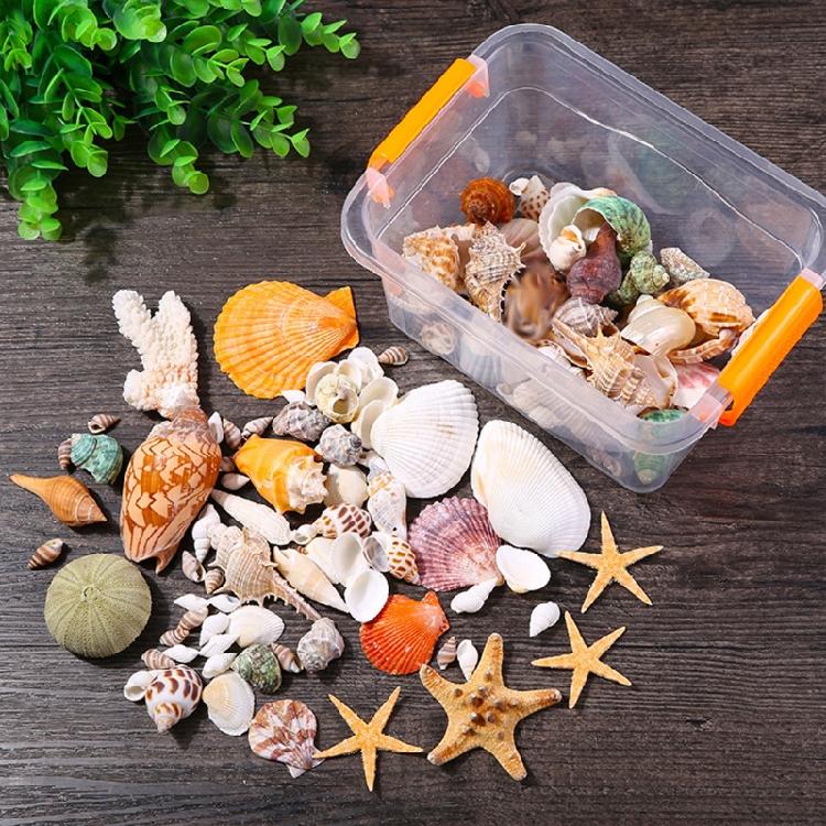 Beach Seashells Decoration Starfish Sea Snail Coral Ornament for Wedding Party