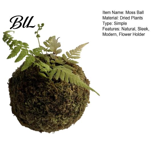 Humidity Maintaining Planter Moss Ball Flower Pot, Natural Green Bonsai Plant Holder, Decorative Spherical Pot for Home, Garden, Wedding Party