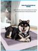Bamboo Charcoal Dog & Cat Pee Pads: Disposable, Thick, Strong Absorption for Pet Urine.