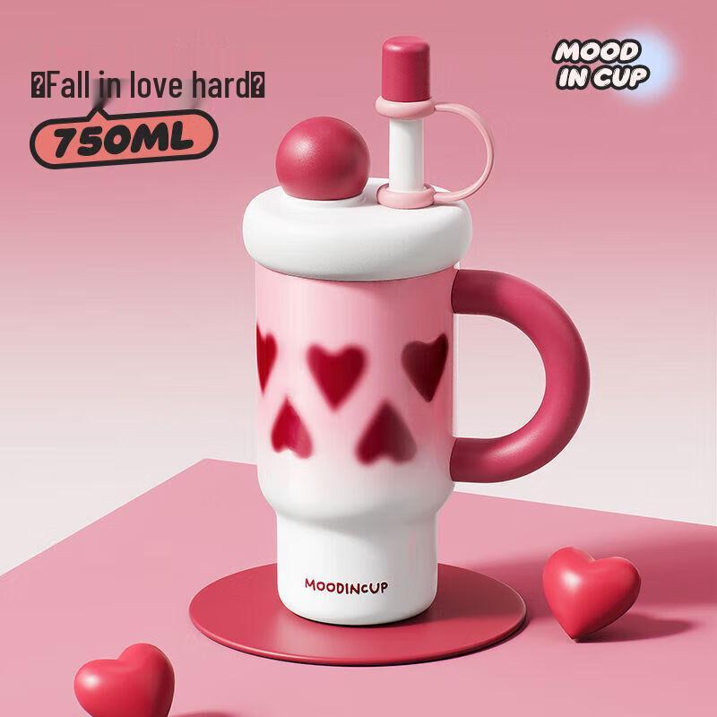 Ceramic Lined Insulated Tumbler with Straw