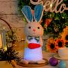 Easter Gnomes Decorations,Plush Easter Gnomes Swedish Tomte Stuffed Doll Facelesses Dwarfs Household Ornaments Gifts