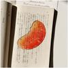 Premium Feeling Apple Bookmark Transparent Simulation Bookmark Cute Reading Mark  Student Gift