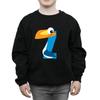 Disney Boys Alphabet Z Is For Zazu Sweatshirt