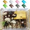 Plastic Turtle Basking Table Adjustable Turtle Climbing Platform Reptile Platform  Fish Tanks