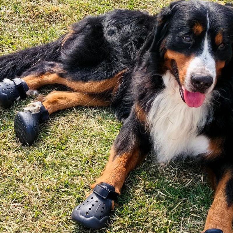 4 Stück Wasserdichte Hundeschuhe Sommer Hundesandalen Rutschfest Leichtgewicht Haustier Hundestiefel Outdoor Strapazierfähig Hundesandalen Haustierbedarf