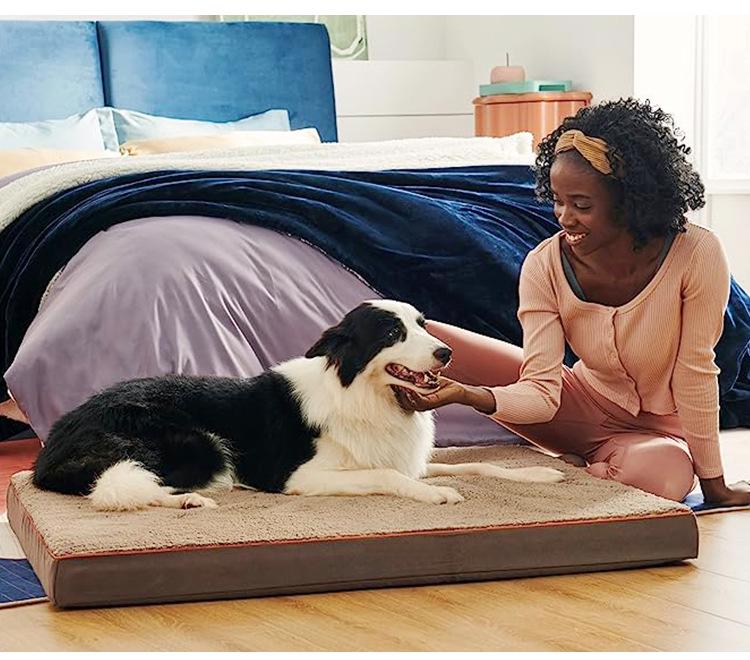 Washable Dog Bed & Cushion: Four Seasons Universal Pet Mat for Dogs & Cats