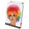 Fiestas Guirca Womens/Ladies Rainbow Wig