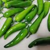 20Pcs Artificial Vegetable Artificial Vegetables Corn