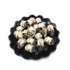 40Piece Skulls Human Head Skull Realistic Skeleton Skulls For Halloween Table Decor