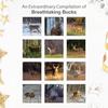 RED EMBER Dream Bucks 2026 Wall Calendar 12 Month | 12” x 24” Open | Thick & Sturdy Paper | Holiday Gift | Whitetail Deer Hunting Wildlife Animal
