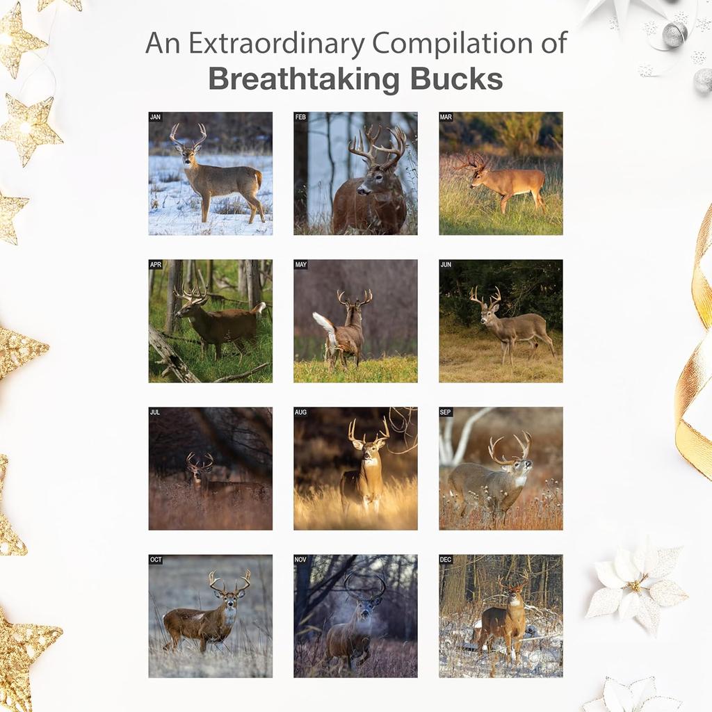 RED EMBER Dream Bucks 2026 Wall Calendar 12 Month | 12” x 24” Open | Thick & Sturdy Paper | Holiday Gift | Whitetail Deer Hunting Wildlife Animal