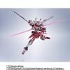 METAL ROBOT Spirits Infinite Justice Gundam 20th Anniversary Ver.