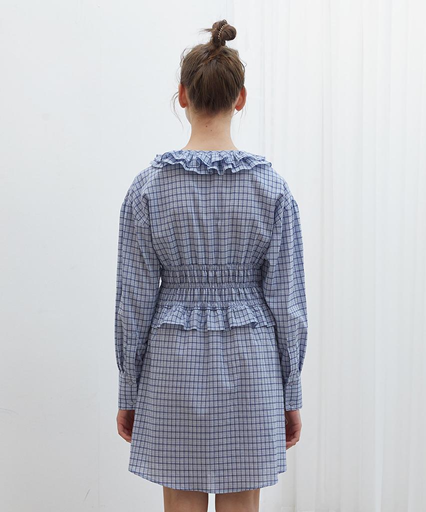 Near And Dear Shirred Waist Check Dress Blue