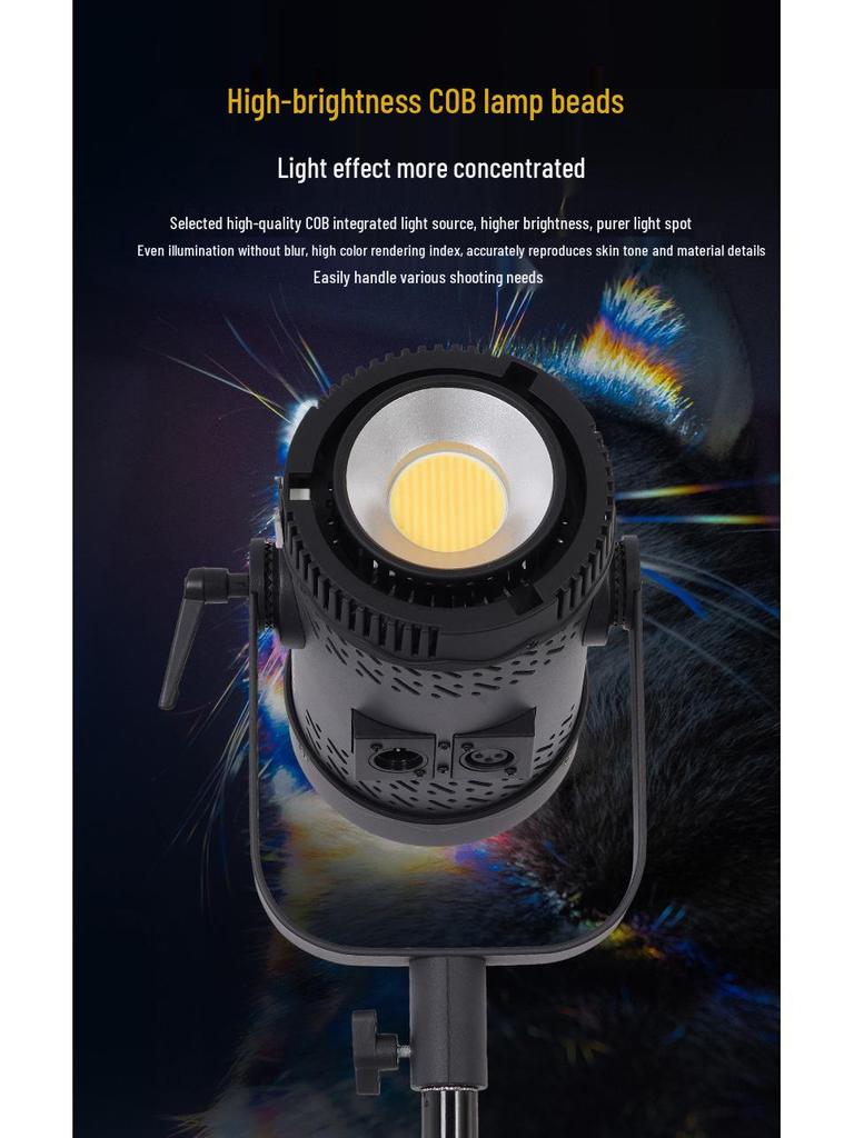 300W LED Adjustable Photography Light for Studio & Live Streaming