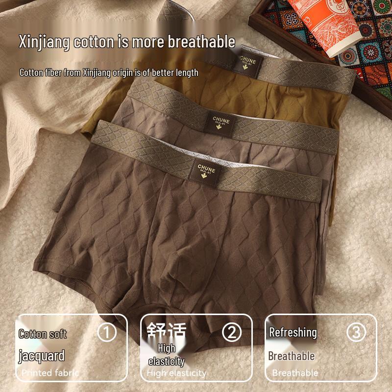 Men's Modal Cotton Antibacterial Boxer Briefs