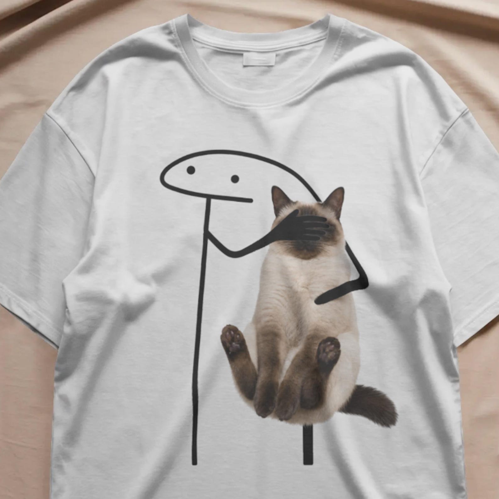 Siamese Cat, Funny Cat Meme Don t Let My Cat See This Shirt, Silly Cat Shirt, Funny Meme Shirt, Cat Lover Gift, Meme Tiktok S