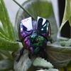 1 Piece Scarab Beetle Children'S Plastic Animals Toy Wind Up Beetle Bionic Toys Creative Prankster Animated Insect Model