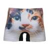Animal Underwear for Calico Cat [Hip Shop] Men,